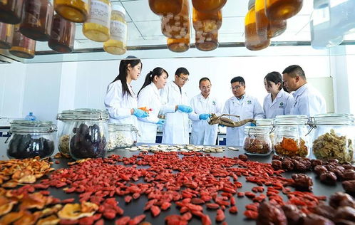 科技赋能 植物工厂 张掖农特产品提质增效凤凰网甘肃 凤凰网